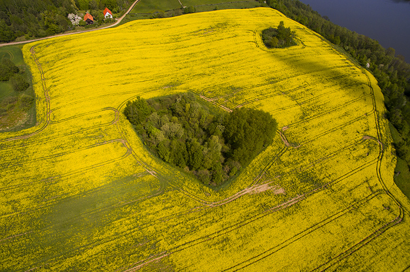 Zdjęcia z drona dla rolników. Zdjęcia upraw, pól, obszarów rolnych.